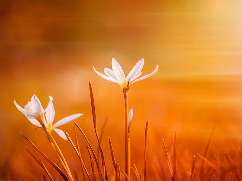 講座：在紅塵中遇見六祖