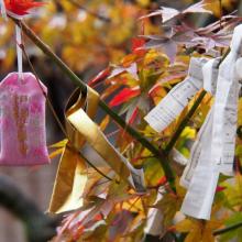 日本四國88站朝聖之旅