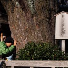 日本四國88站朝聖之旅