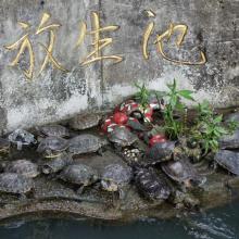 寺院遊第二回 【萬佛寺、道榮園】