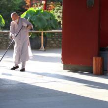 如何在「疫」境中安心